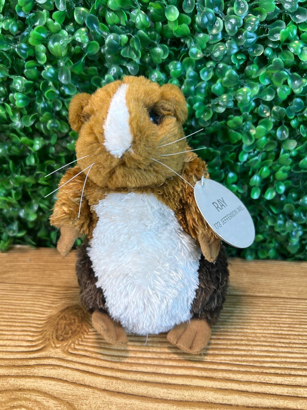 Vintage 2002 Blockbuster Ray Hamster Bean Bag Plush Applause Name Tag Rare Y2K
